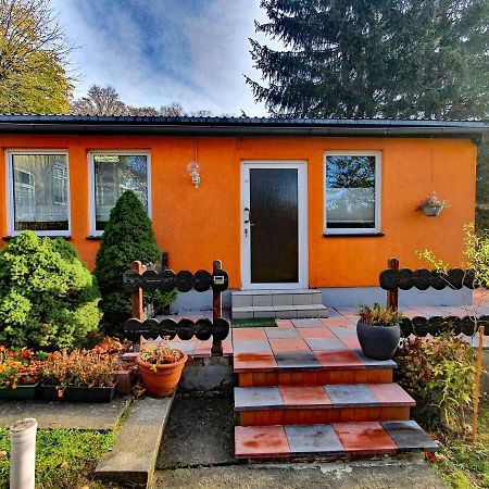 Ferienhaus Petra Elbingerode  Eksteriør billede