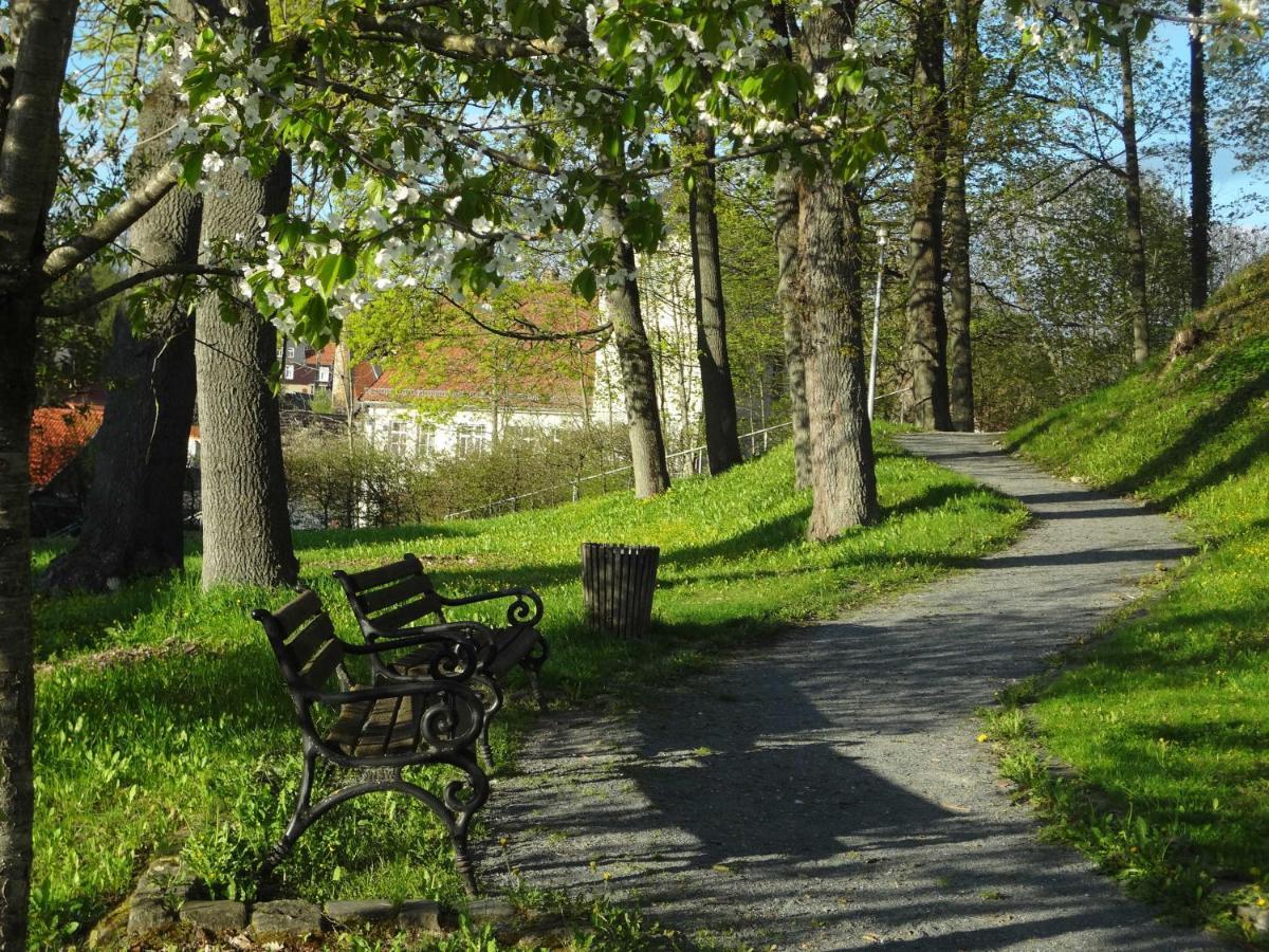 Ferienhaus Petra Elbingerode  Eksteriør billede